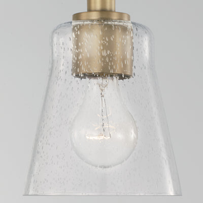 Baker Dual Mount Pendant