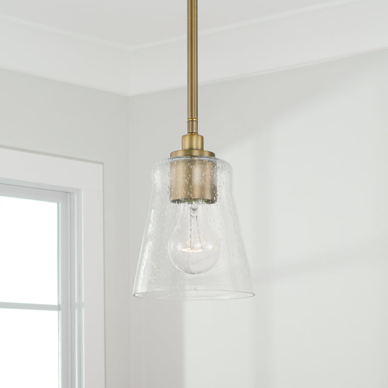Baker Dual Mount Pendant