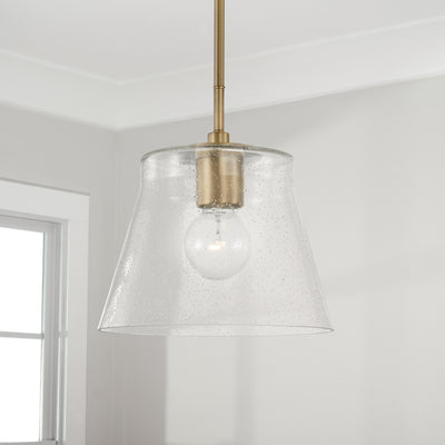 Baker Dual Mount Pendant