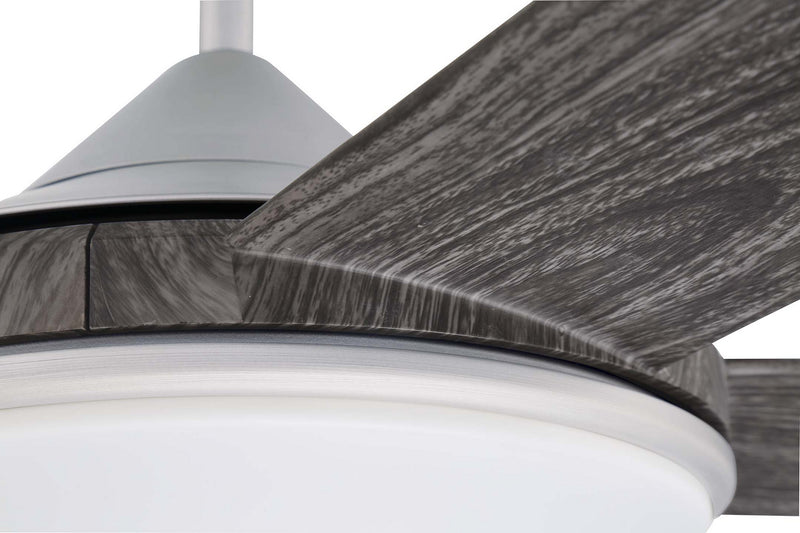 Delaney Ceiling Fan
