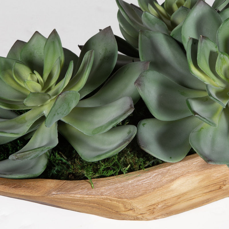Yuma Centerpiece