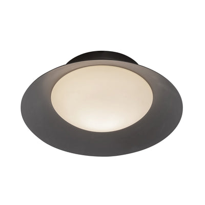 Cleo Wall Sconce