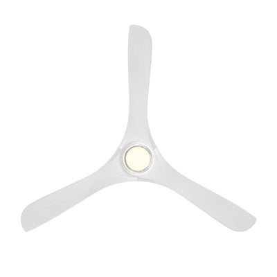 Carve Smart Ceiling Fan