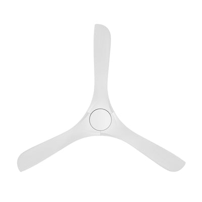 Carve Smart Ceiling Fan