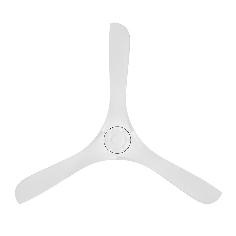 Carve Smart Ceiling Fan