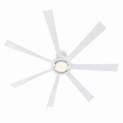 Lenzi Ceiling Fan with Light