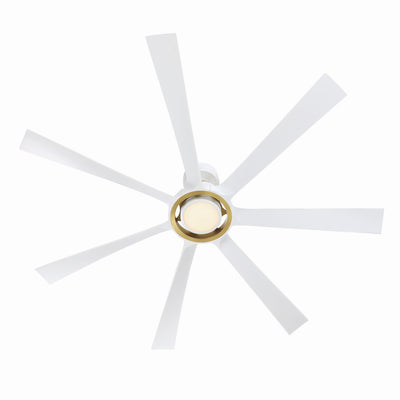 Lenzi Ceiling Fan with Light