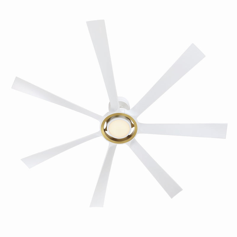 Lenzi Ceiling Fan with Light