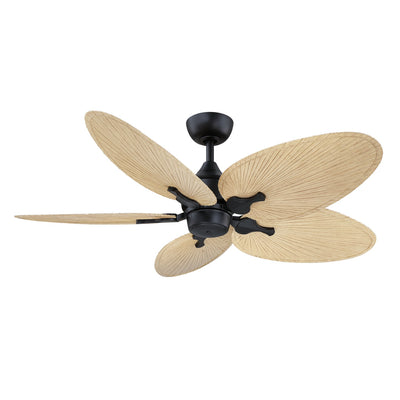 Islander DC Ceiling Fan