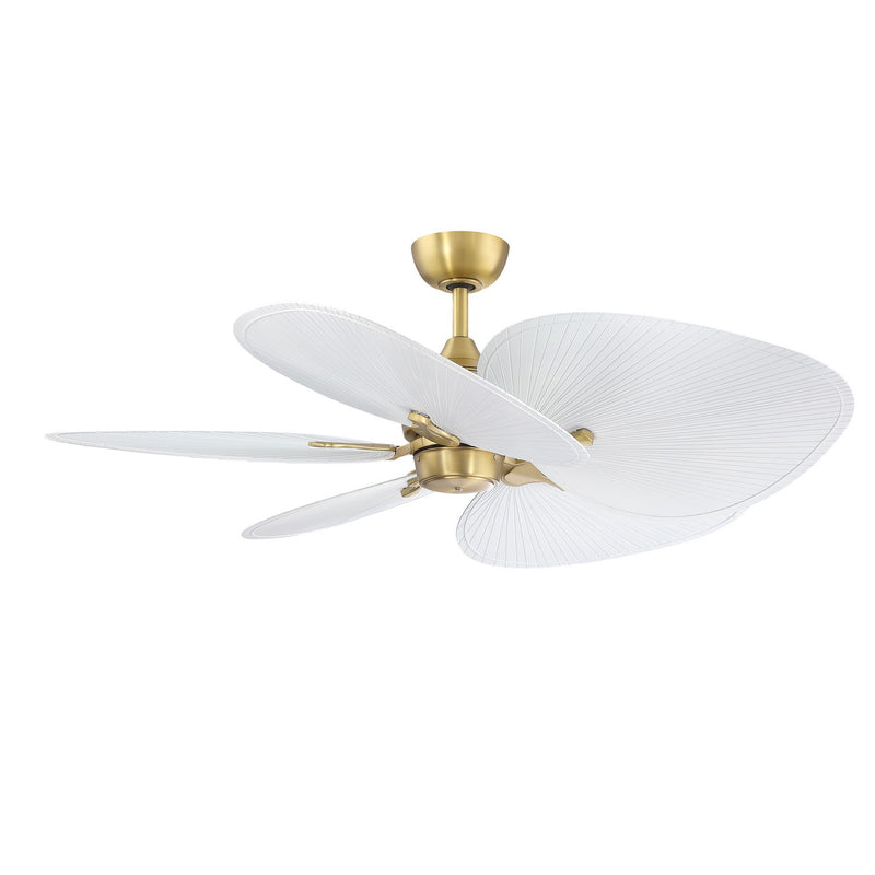 Islander DC Ceiling Fan