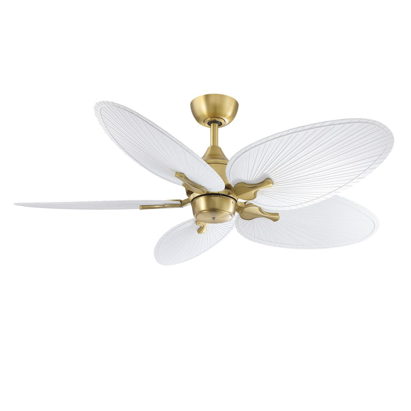 Islander DC Ceiling Fan