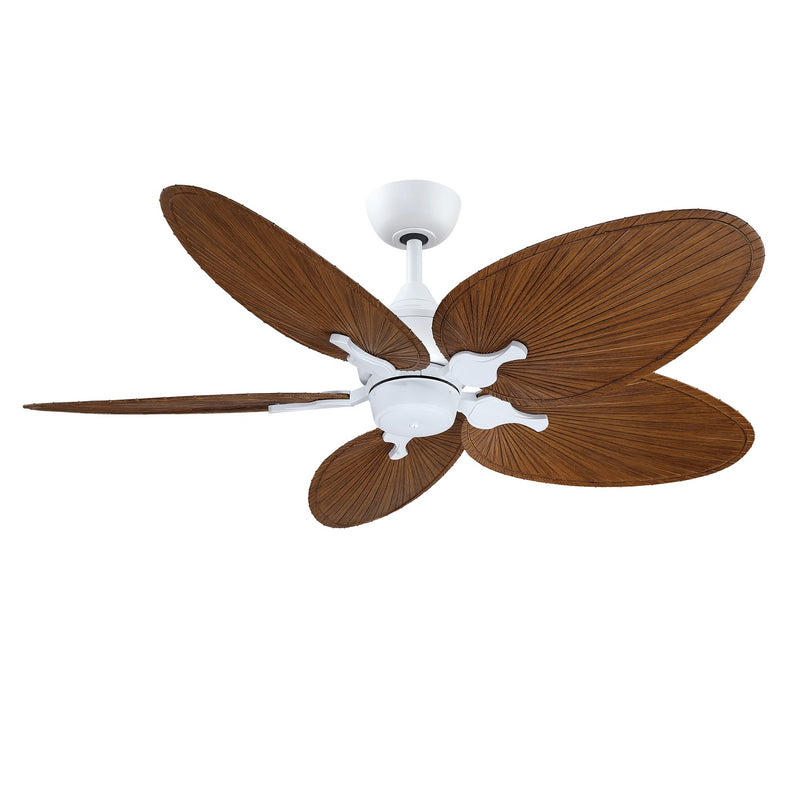 Islander DC Ceiling Fan