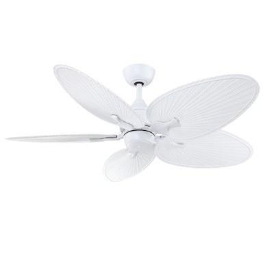 Islander DC Ceiling Fan