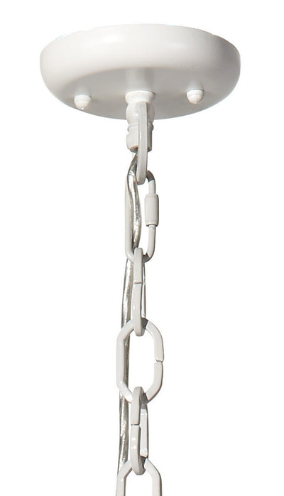 Clamshell Chandelier