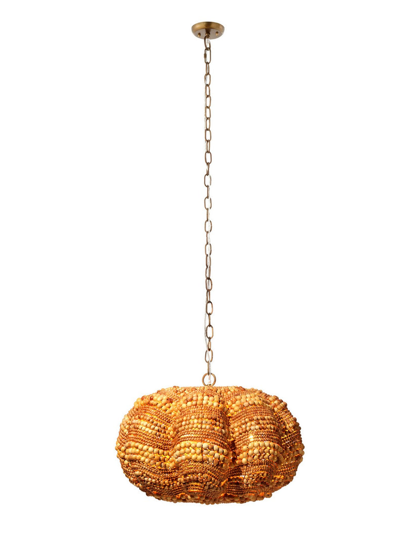 Clamshell Chandelier