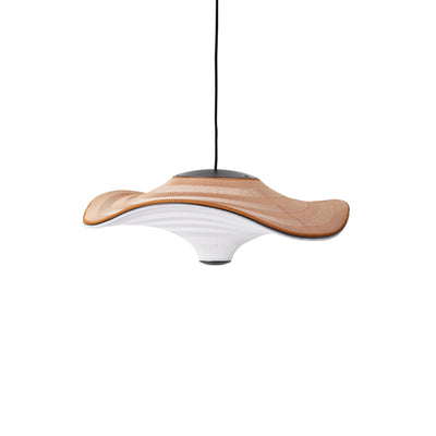 Flying Pendant Light