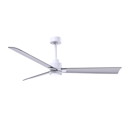 Alessandra Outdoor Ceiling Fan with Light