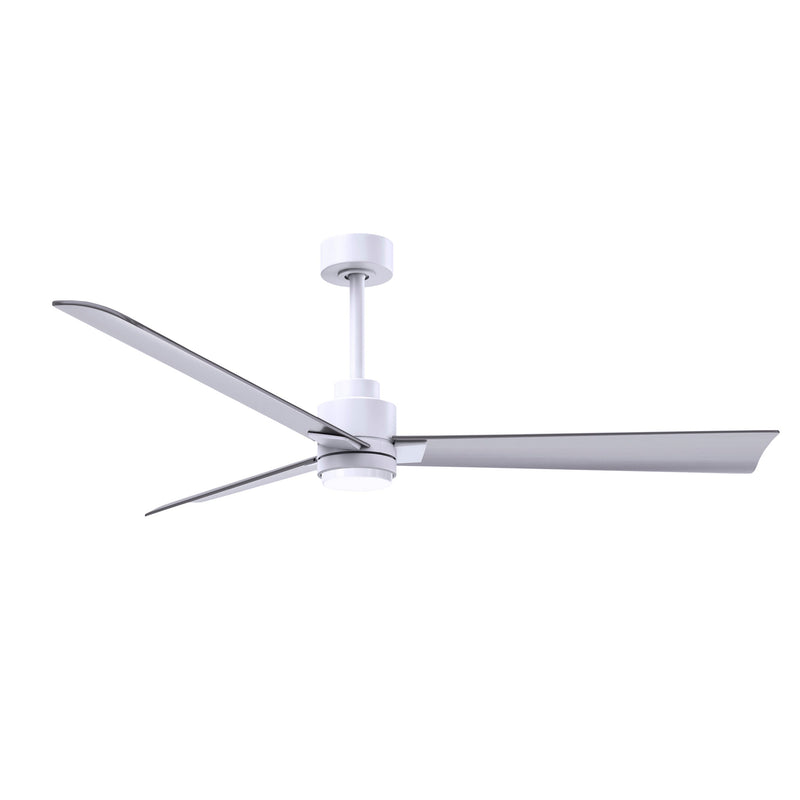 Alessandra Outdoor Ceiling Fan with Light