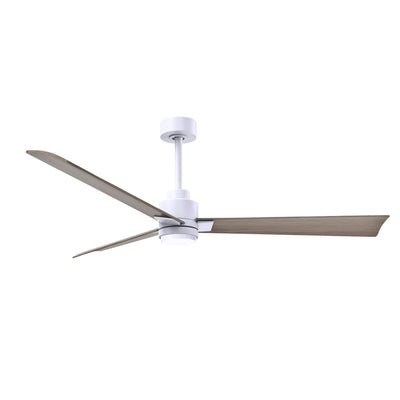 Alessandra Outdoor Ceiling Fan with Light