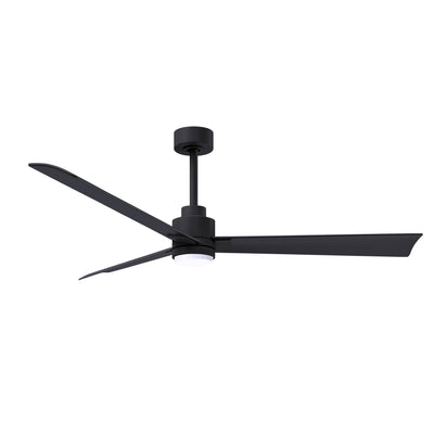 Alessandra Outdoor Ceiling Fan with Light