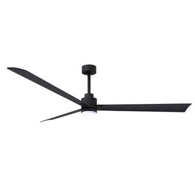Alessandra Outdoor Ceiling Fan with Light