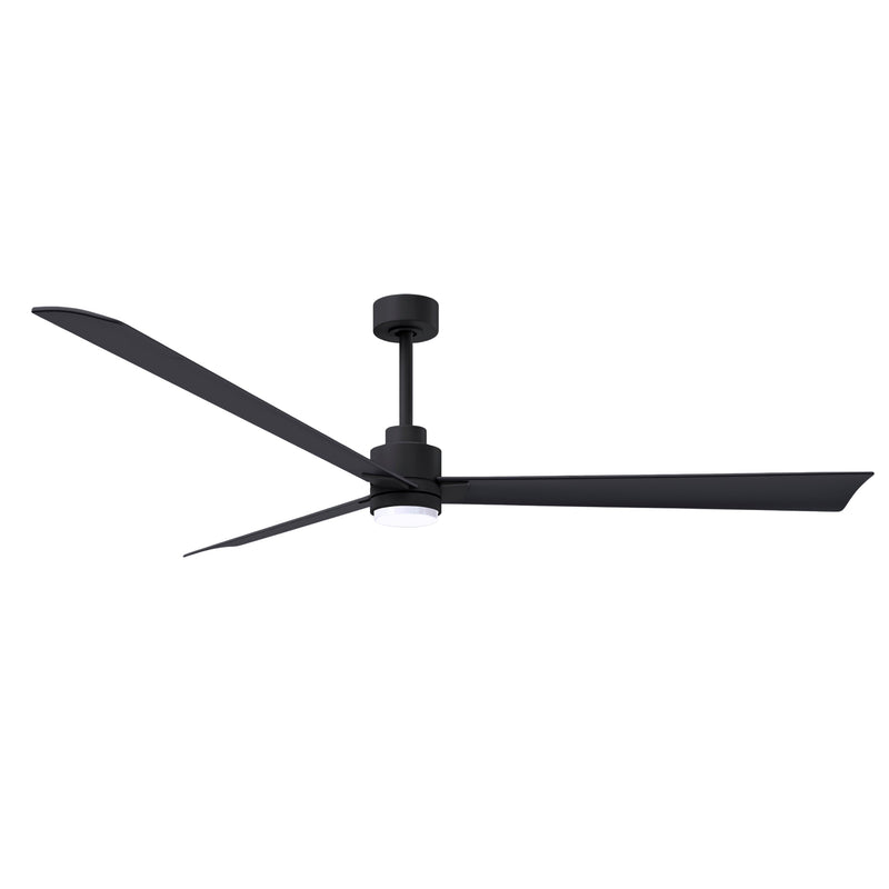 Alessandra Outdoor Ceiling Fan with Light