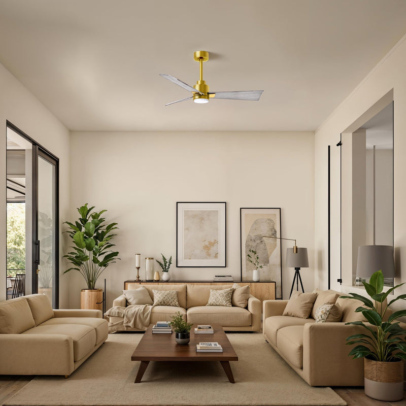 Alessandra Outdoor Ceiling Fan with Light