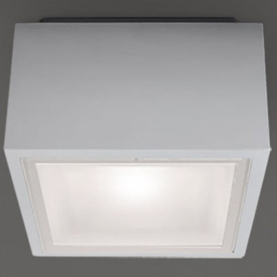 Bloc Outdoor Ceiling Light