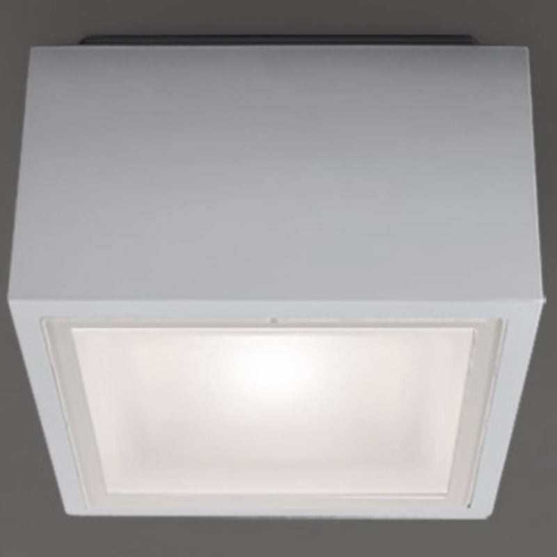 Bloc Outdoor Ceiling Light