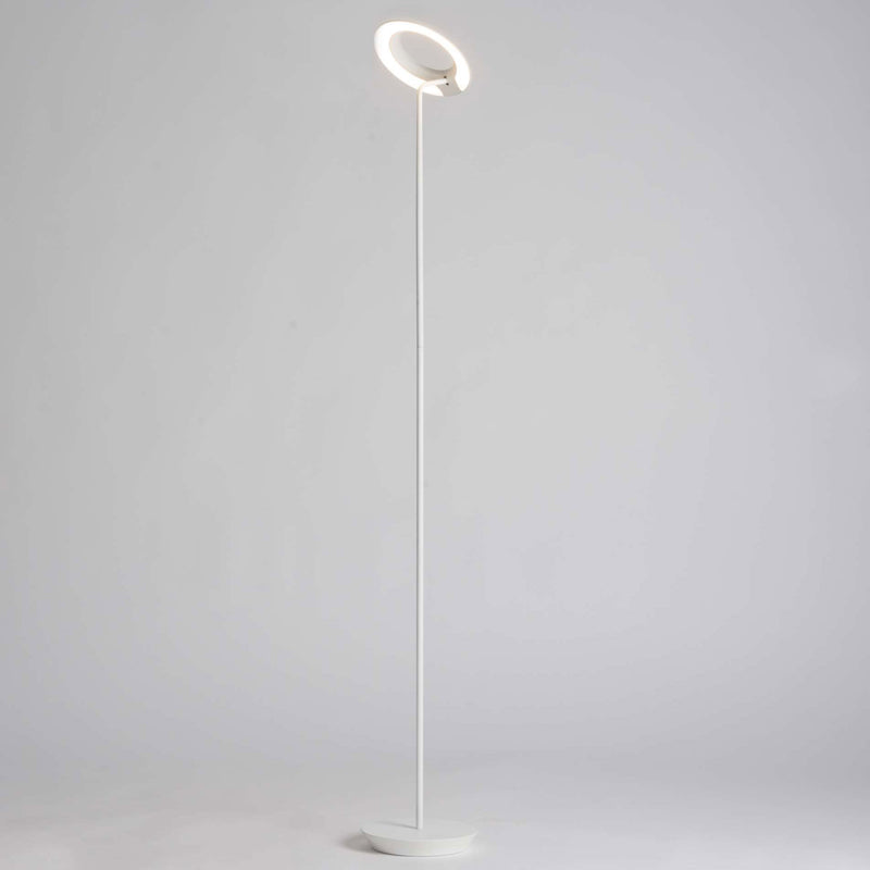 Royyo Floor Lamp