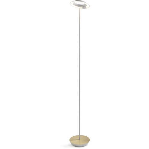 Royyo Floor Lamp