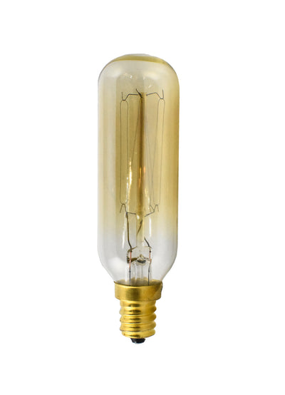 Maxim - BI40T6E12CL120V - Light Bulb - Bulbs