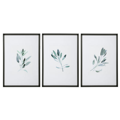 Uttermost - 33723 - Wall Art - Simple Sage - Black