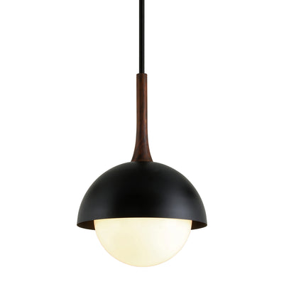 Troy Lighting - F7645-SBK - One Light Pendant - Cadet - Black And Natural Acacia