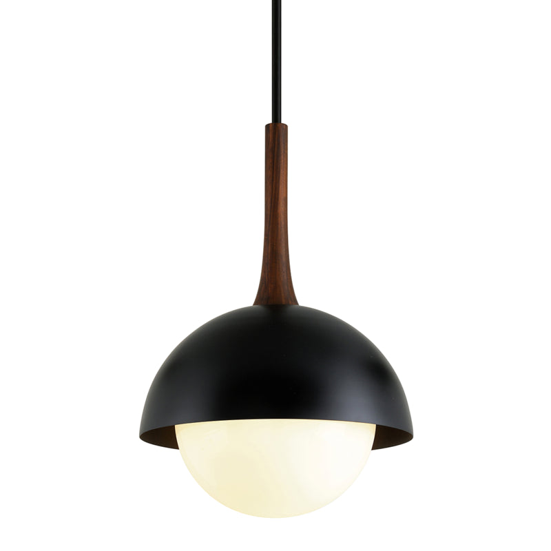 Troy Lighting - F7646-SBK - One Light Pendant - Cadet - Black And Natural Acacia