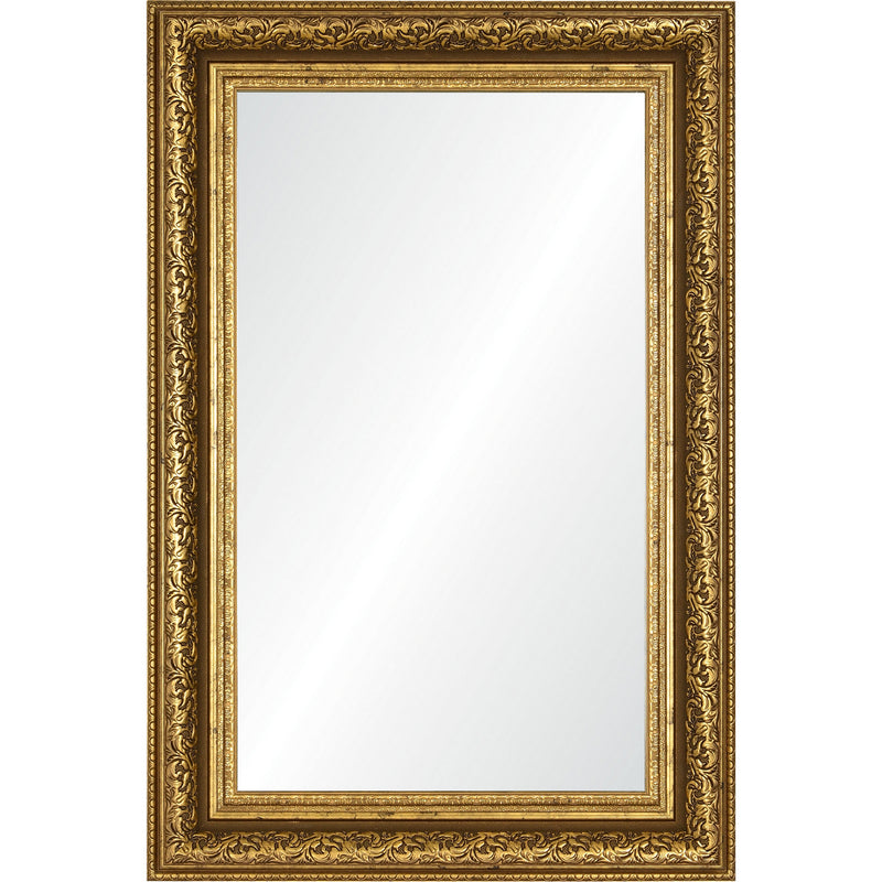 Renwil - MT2561 - Mirror - Yiannis - Dark Antique Gold