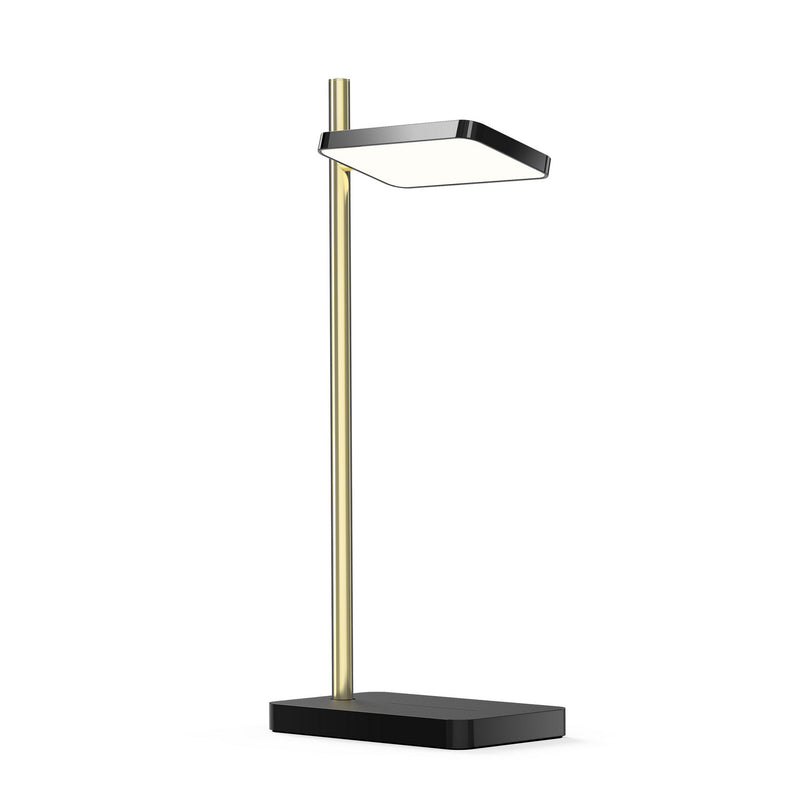 Pablo Designs - TALI TBL BLK/BRA - LED Table Lamp - Talia - Black/Brass