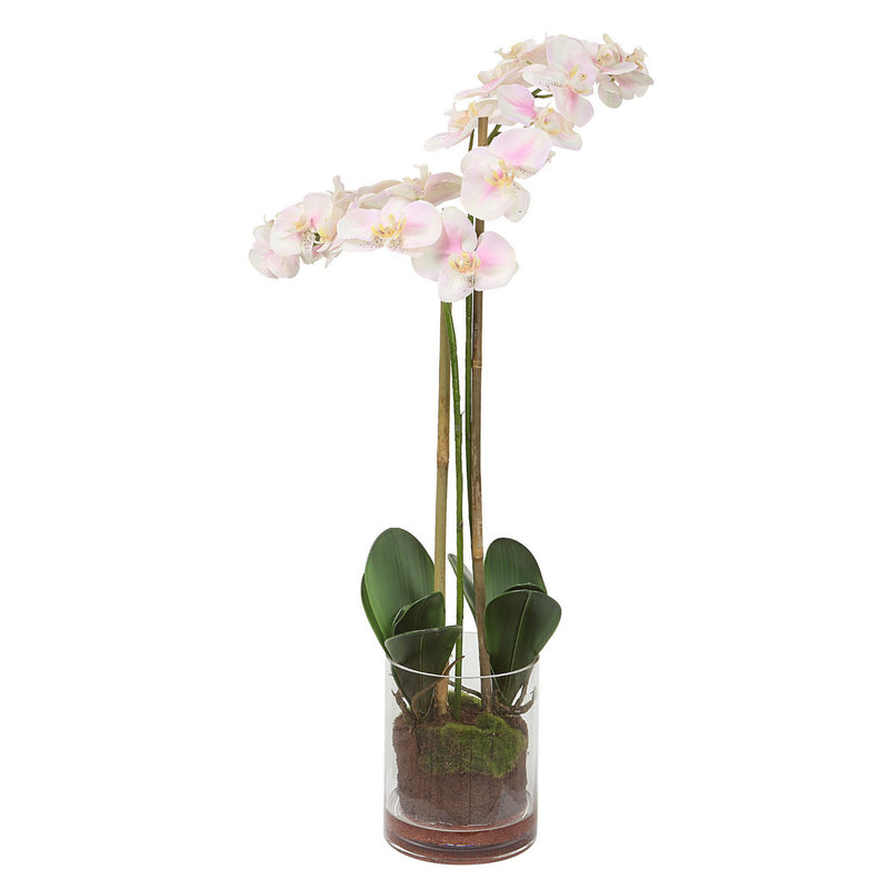 Uttermost - 60196 - Orchid - Blush Orchid - Light Pink And White