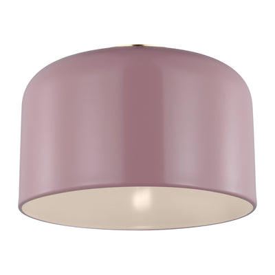Malone Ceiling Fixture