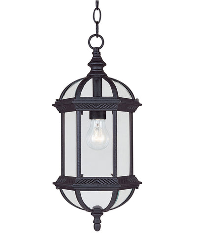 Savoy House - 5-0631-BK - One Light Hanging Lantern - Kensington - Textured Black