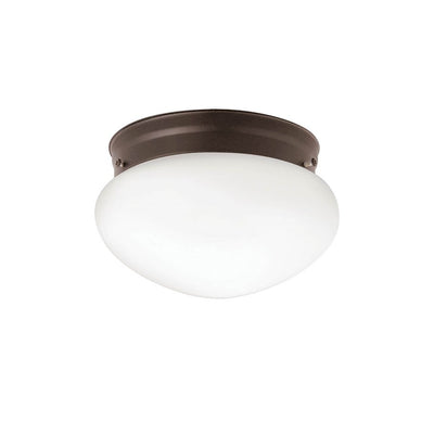 Ceiling Space Flush Mount Light