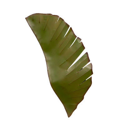Banana Leaf Sconce