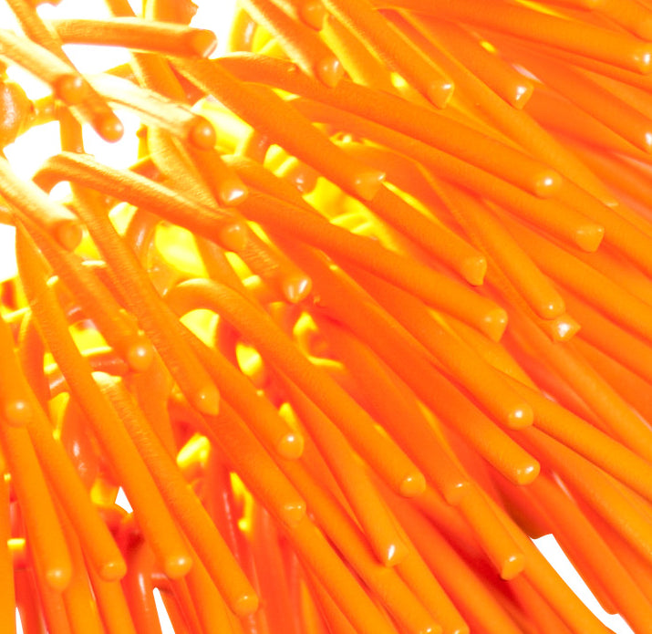 Urchin Pendant