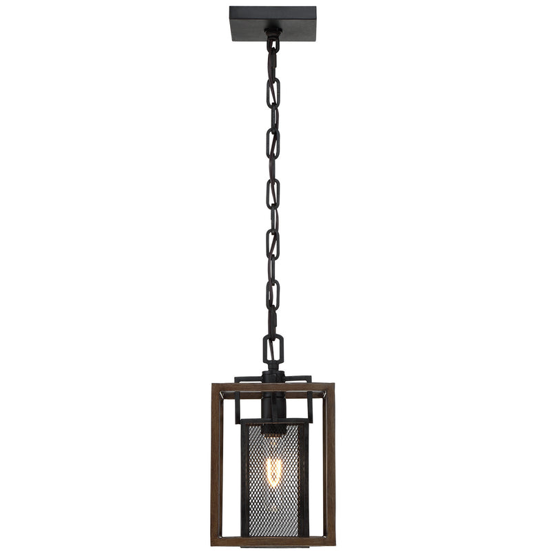 Varaluz - 285M01DOBL - One Light Mini Pendant - Rio Lobo - Dark Oak/Black