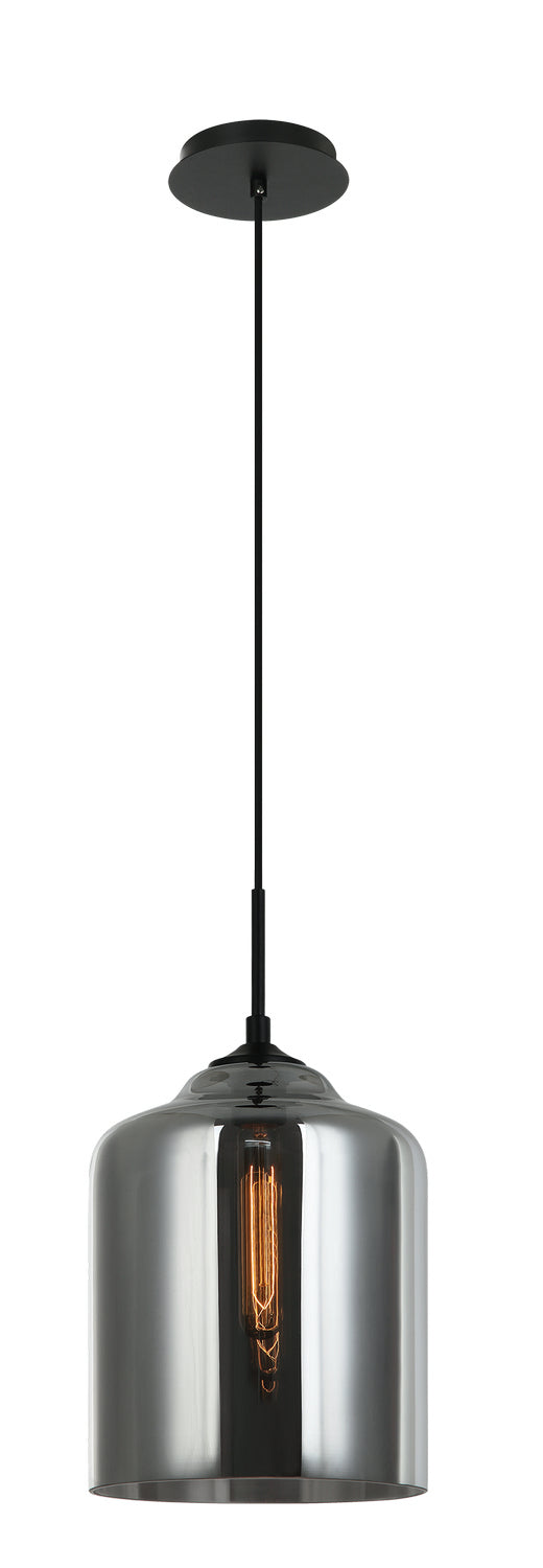 Matteo Lighting - C41404SM - One Light Pendant - Irresistible Organic Charm - Smoke