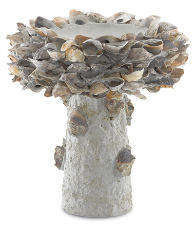 Currey and Company - 1200-0052 - Shell Bird Bath - Oyster - Natural