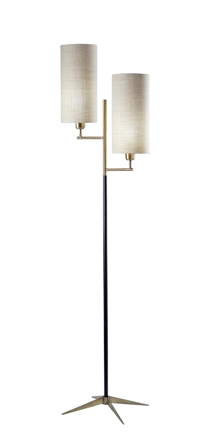 Adesso Home - 3474-01 - Two Light Floor Lamp - Davis - Antique Brass