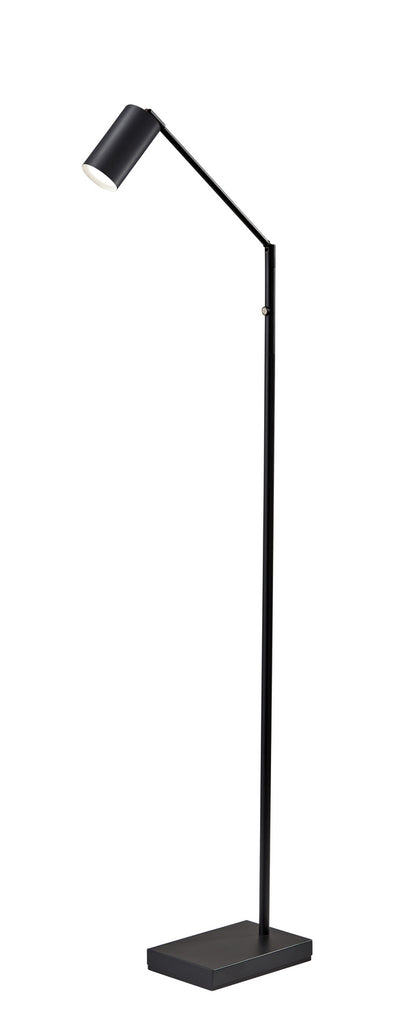 Adesso Home - 4275-01 - LED Floor Lamp - Colby - Black Painted