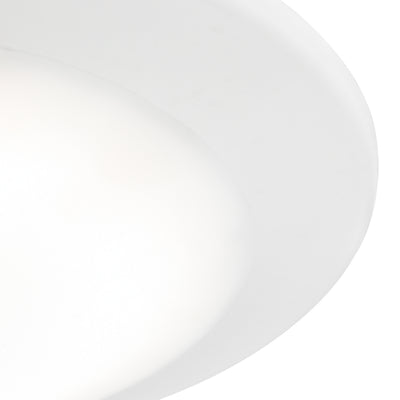 Plandome Flush Mount