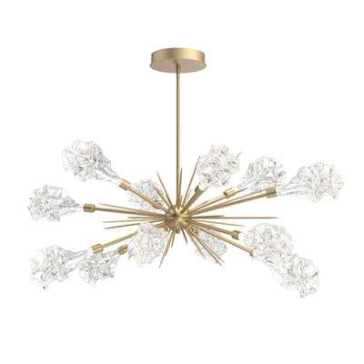 Hammerton Studio - PLB0059-0A-GB-BC-001-L1 - LED Starburst - Blossom - Gilded Brass